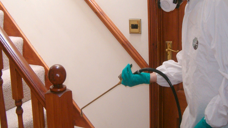 سمپاشی محل کار